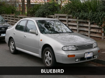 Bluebird