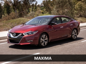 Maxima 1