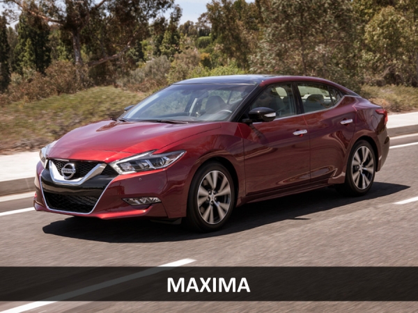 Maxima 2
